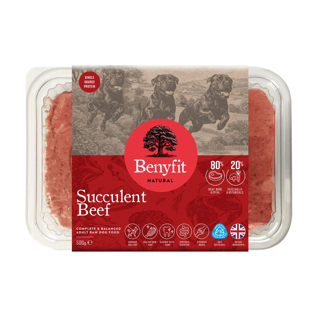 Benyfit Natural Succulent Beef Complete Adult Raw Dog Food - 500G