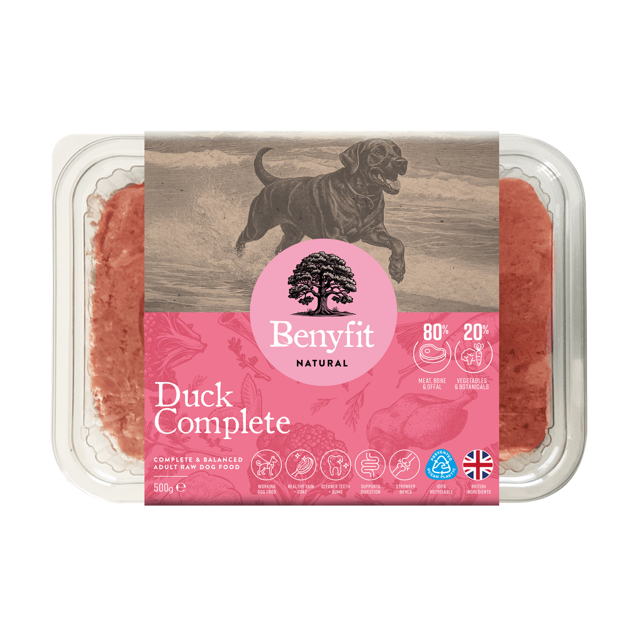 Benyfit Natural Duck Complete Raw Adult Dog Food - 500G