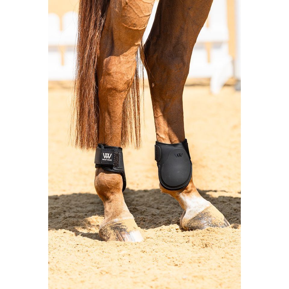 Hind - Large