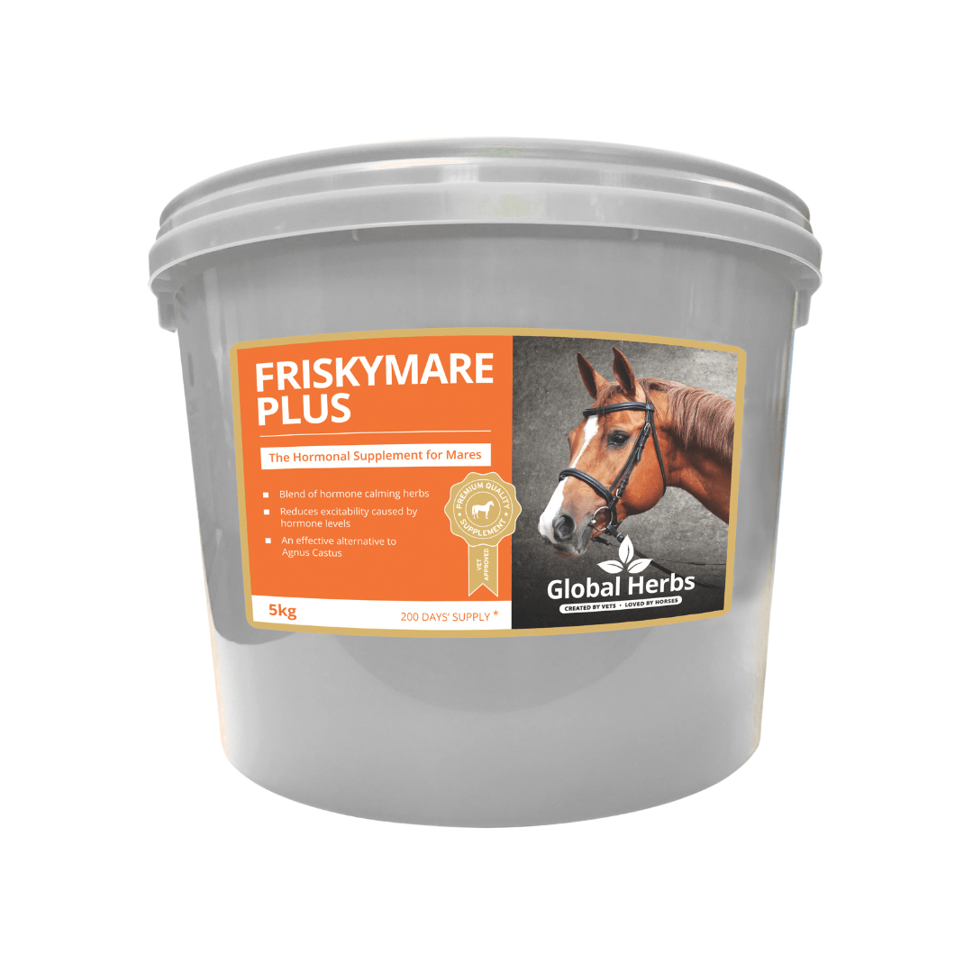 Global Herbs Friskymare For Horses - Plus Powder - Tub 5Kg