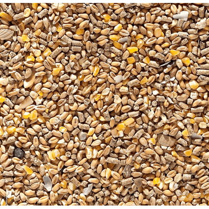 Johnston And Jeff Corn Extra Chicken Food - 20Kg