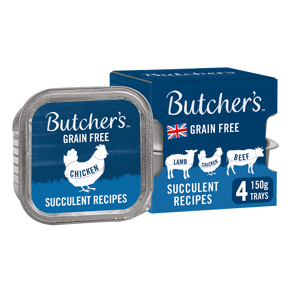 Butchers Succulent Recipes Adult Wet Dog Food - X 150G Grain Size 4