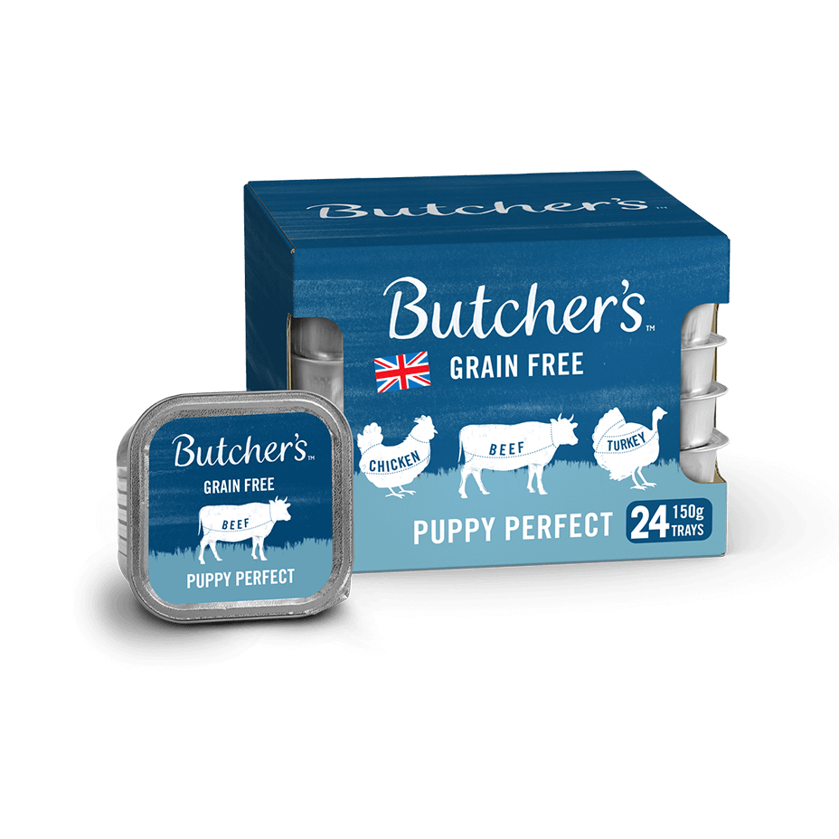 Butchers Butcher's Puppy Perfect Wet Dog Food Trays - X 150G Salmon/Grain Size 24