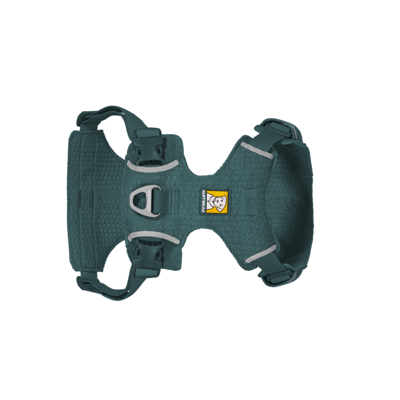 Teal Medium