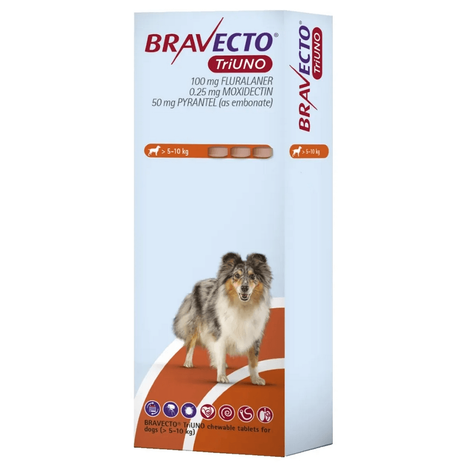 100mg (Dogs > 5–10 kg) » Pack of 6