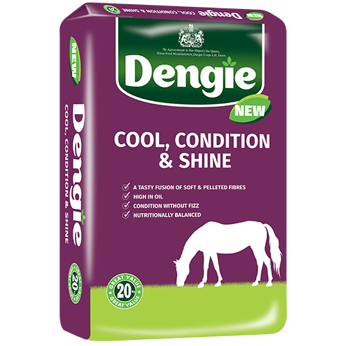 Dengie Cool Condition And Shine Feed For Horses - Light 20Kg