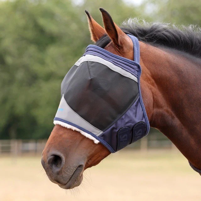 Pony