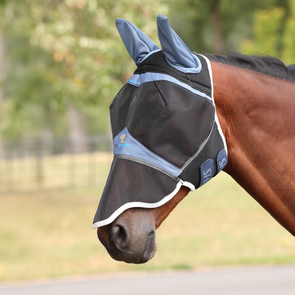 Pony