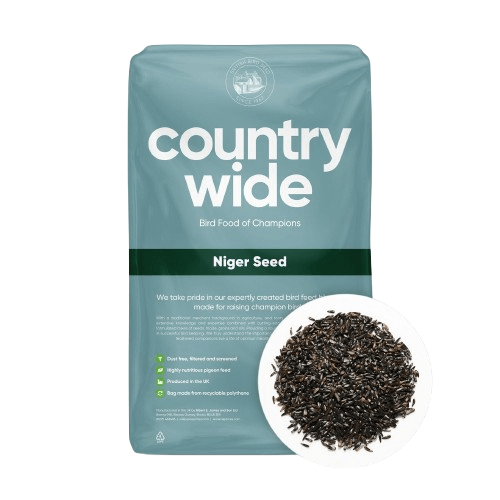 Countrywide Nigerseed Wild Bird Food - Black 20Kg