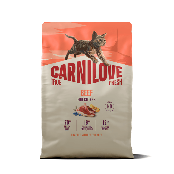 Carnilove True Fresh Beef For Kittens Dry Cat Food - Salmon/Grain/Yellow 2Kg