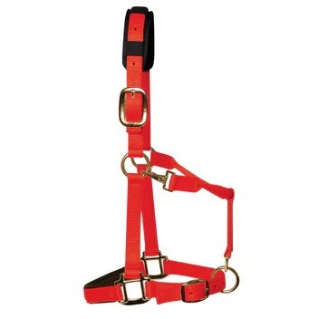 Km Elite Padded Headcollar - Pony) - Red Small