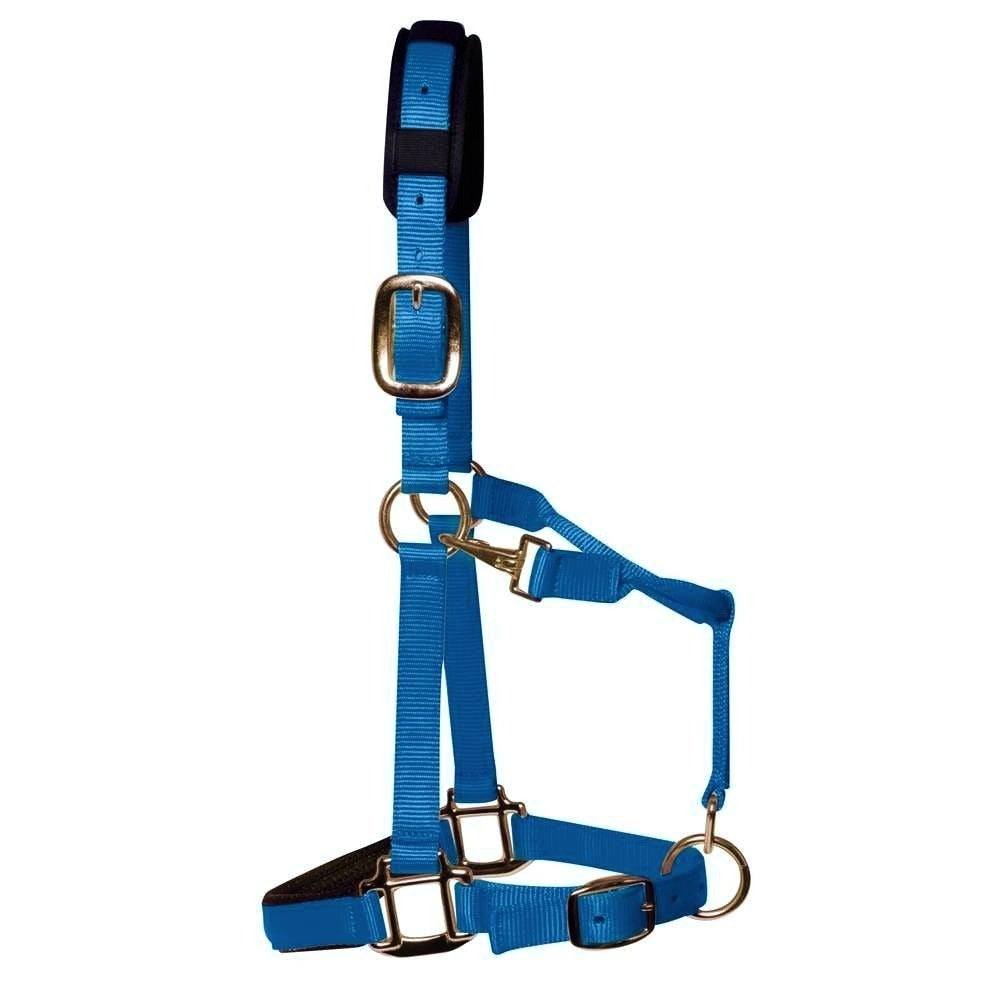 Km Elite Padded Headcollar - Pony) - Teal Blue Small