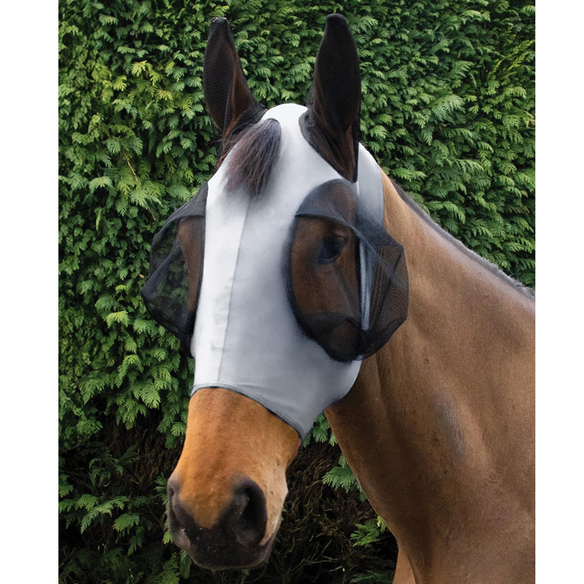 Pony