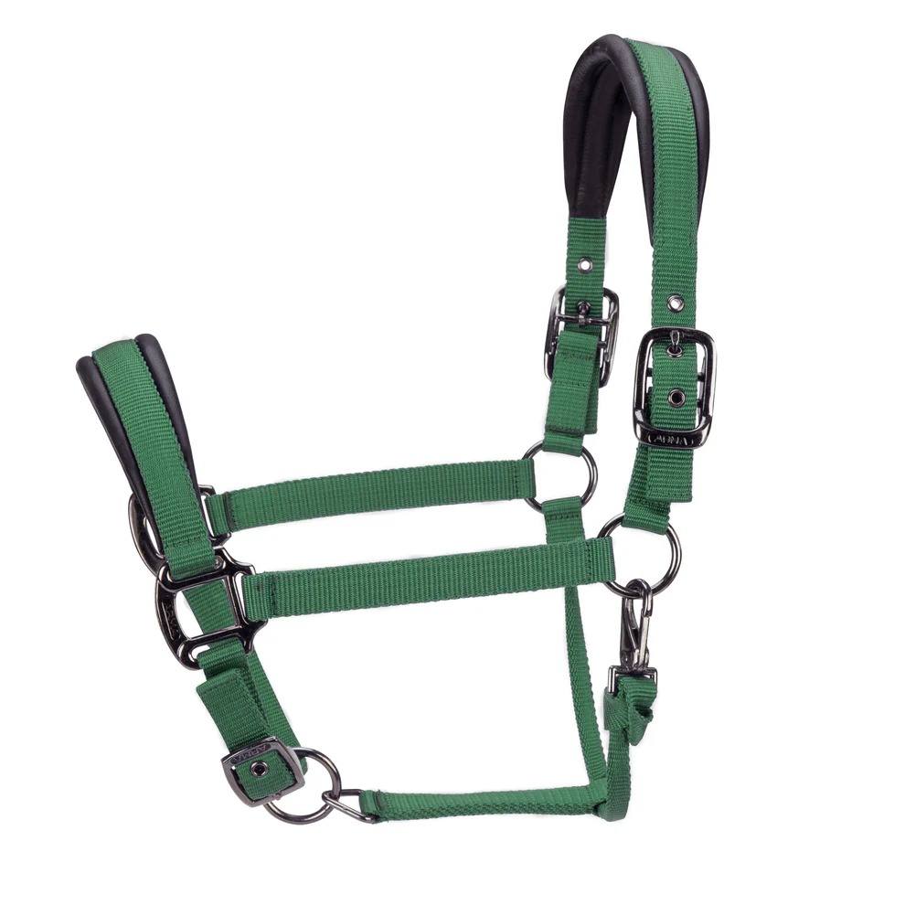 Dark Green - Full