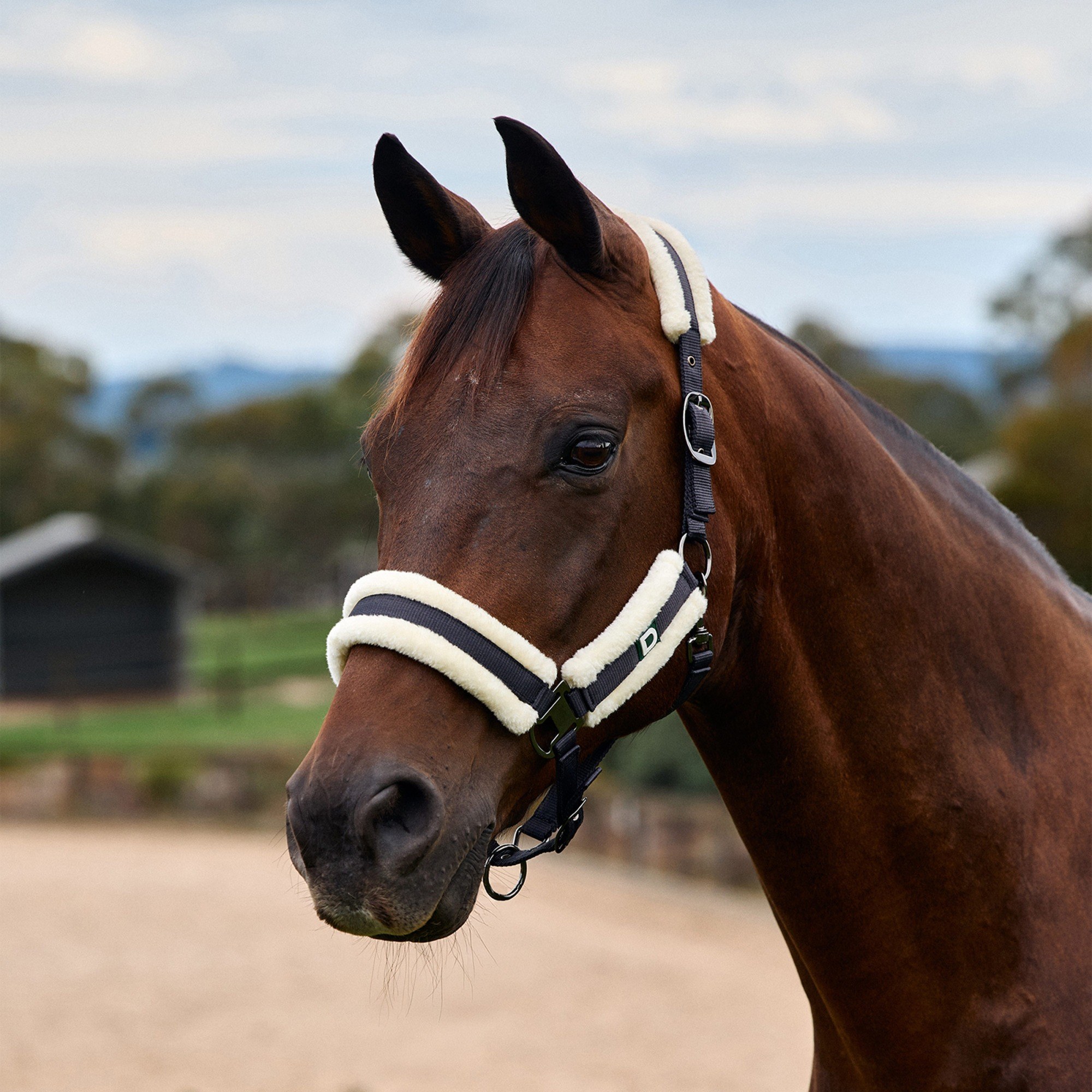 Navy » Pony