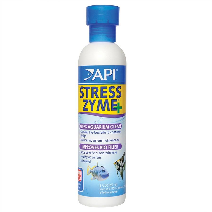 237ml Bottle