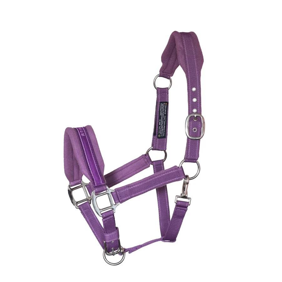 Purple - Extra Small