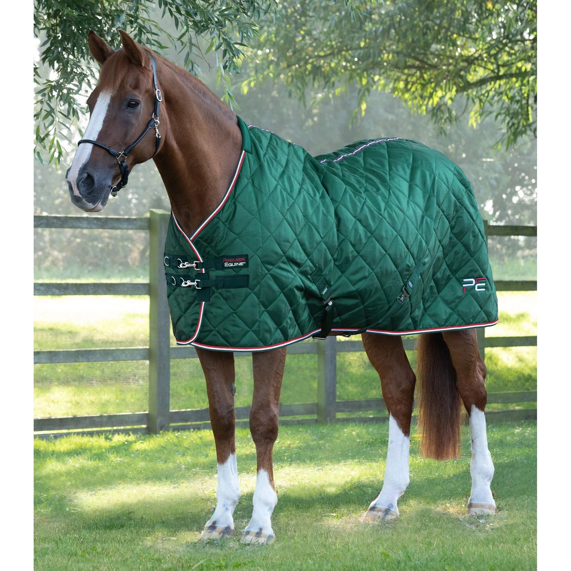 Green / 5'0