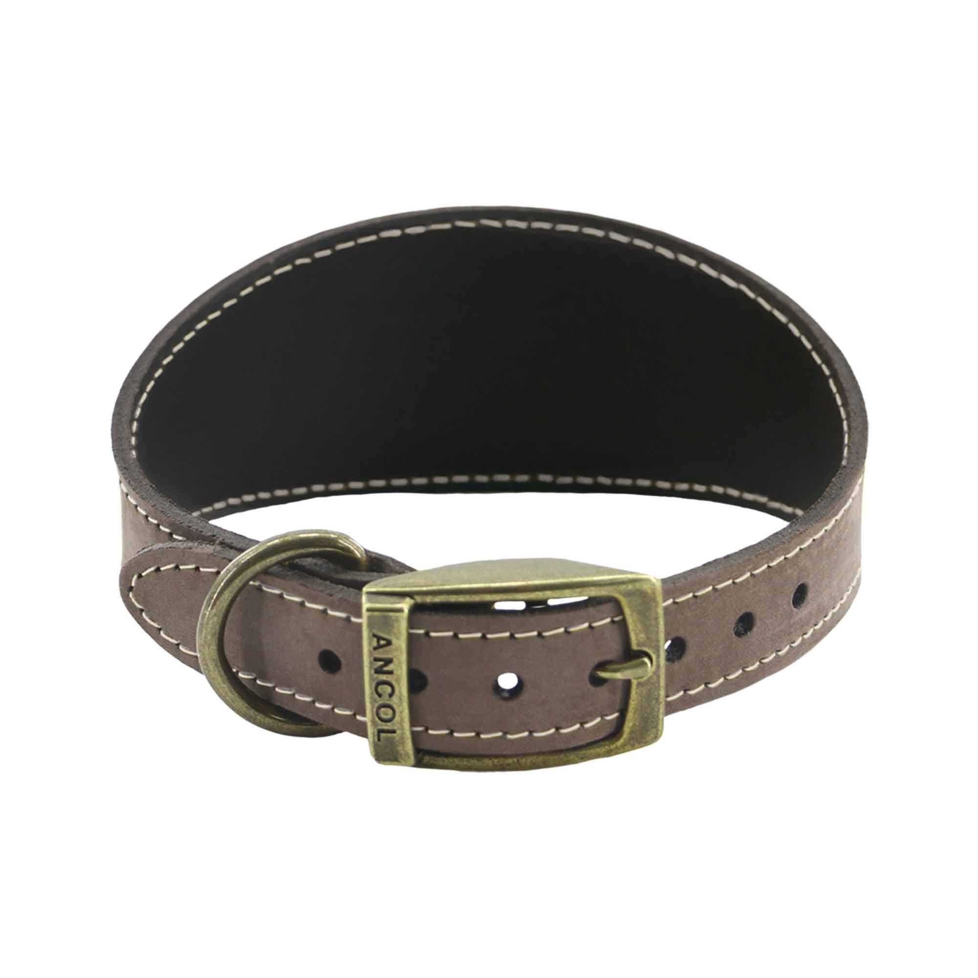 Ancol Timberwolf Sable Leather Whippet Collar - 30-34Cm Grain/Gold 3M