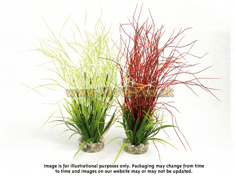 Sydeco Coloured Hair Grass Maxi Aquarium Plant