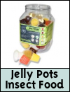 Komodo Jelly Pots Feeder Insect Food
